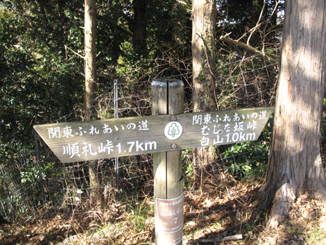 20170126hike (112)